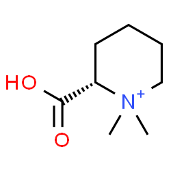 ChemSpider 2D Image | (2S)-2-Carboxy-1,1-dimethylpiperidinium | C8H16NO2