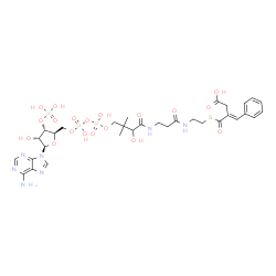 ChemSpider 2D Image | (20E)-1-[(2R,3S,4R,5R)-5-(6-Amino-9H-purin-9-yl)-4-hydroxy-3-(phosphonooxy)tetrahydro-2-furanyl]-20-benzylidene-3,5,9-trihydroxy-8,8-dimethyl-10,14,19-trioxo-2,4,6-trioxa-18-thia-11,15-diaza-3,5-dipho
sphadocosan-22-oic acid 3,5-dioxide | C32H44N7O19P3S