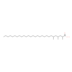 ChemSpider 2D Image | 2,4,6-Trimethyloctacosanoic acid | C31H62O2
