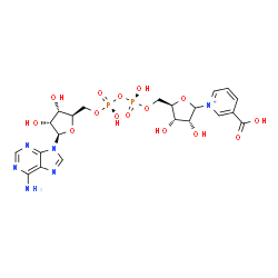 ChemSpider 2D Image | 1-[(3R,4S,5R)-5-[[[[(2R,3S,4R,5R)-5-(6-aminopurin-9-yl)-3,4-dihydroxy-tetrahydrofuran-2-yl]methoxy-hydroxy-phosphoryl]oxy-hydroxy-phosphoryl]oxymethyl]-3,4-dihydroxy-tetrahydrofuran-2-yl]pyridin-1-ium-3-carboxylic acid | C21H27N6O15P2