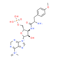 ChemSpider 2D Image | 3'-Deoxy-N-methyl-N-methylene-3'-[(O-methyl-L-tyrosyl)amino]adenosine 5'-(dihydrogen phosphate) | C22H30N7O8P