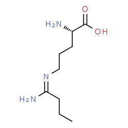 ChemSpider 2D Image | (E)-N~5~-(1-Aminobutylidene)-L-ornithine | C9H19N3O2