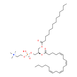 ChemSpider 2D Image | 1-Myristoyl-2-arachidonoyl-sn-glycero-3-phosphocholine | C42H77NO8P