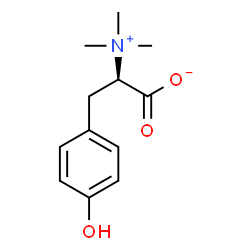ChemSpider 2D Image | D-tyrosine betaine | C12H17NO3