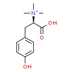 ChemSpider 2D Image | (1R)-1-Carboxy-2-(4-hydroxyphenyl)-N,N,N-trimethylethanaminium | C12H18NO3