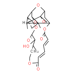 ChemSpider 2D Image | 13'-Hydroxy-6',14',26'-trimethyl-12'H,18'H,23'H-spiro[oxirane-2,27'-[2,5,11,17,24]pentaoxapentacyclo[23.2.1.0~3,9~.0~4,6~.0~9,26~]octacosa[19,21]diene]-12',18',23'-trione | C27H34O10