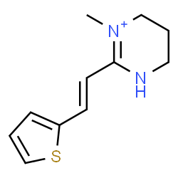 ChemSpider 2D Image | 1-Methyl-2-[(E)-2-(2-thienyl)vinyl]-3,4,5,6-tetrahydropyrimidin-1-ium | C11H15N2S