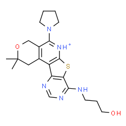 ChemSpider 2D Image | 8-[(3-Hydroxypropyl)amino]-2,2-dimethyl-5-(1-pyrrolidinyl)-1,4-dihydro-2H-pyrano[4'',3'':4',5']pyrido[3',2':4,5]thieno[3,2-d]pyrimidin-6-ium | C21H28N5O2S