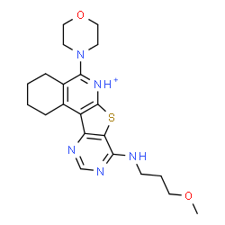 ChemSpider 2D Image | 8-[(3-Methoxypropyl)amino]-5-(4-morpholinyl)-1,2,3,4-tetrahydropyrimido[4',5':4,5]thieno[2,3-c]isoquinolin-6-ium | C21H28N5O2S