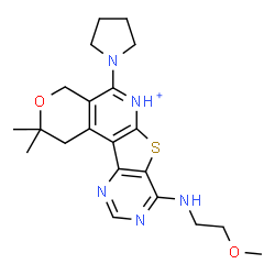 ChemSpider 2D Image | 8-[(2-Methoxyethyl)amino]-2,2-dimethyl-5-(1-pyrrolidinyl)-1,4-dihydro-2H-pyrano[4'',3'':4',5']pyrido[3',2':4,5]thieno[3,2-d]pyrimidin-6-ium | C21H28N5O2S