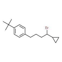ChemSpider 2D Image | 1-(4-Bromo-4-cyclopropylbutyl)-4-(2-methyl-2-propanyl)benzene | C17H25Br
