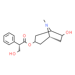ChemSpider 2D Image | (1R)-6-Hydroxy-8-methyl-8-azabicyclo[3.2.1]oct-3-yl (2S)-3-hydroxy-2-phenylpropanoate | C17H23NO4