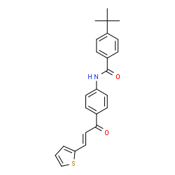 ChemSpider 2D Image | 4-(2-Methyl-2-propanyl)-N-{4-[(2E)-3-(2-thienyl)-2-propenoyl]phenyl}benzamide | C24H23NO2S
