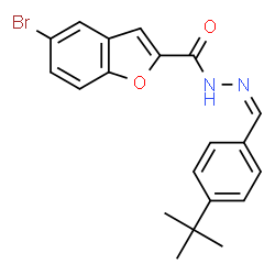 ChemSpider 2D Image | 5-Bromo-N'-{(Z)-[4-(2-methyl-2-propanyl)phenyl]methylene}-1-benzofuran-2-carbohydrazide | C20H19BrN2O2