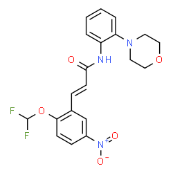 ChemSpider 2D Image | (2E)-3-[2-(Difluoromethoxy)-5-nitrophenyl]-N-[2-(4-morpholinyl)phenyl]acrylamide | C20H19F2N3O5
