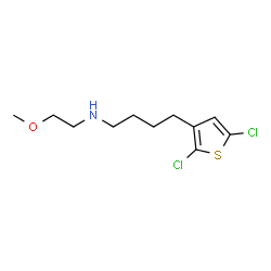 ChemSpider 2D Image | 4-(2,5-Dichloro-3-thienyl)-N-(2-methoxyethyl)-1-butanamine | C11H17Cl2NOS