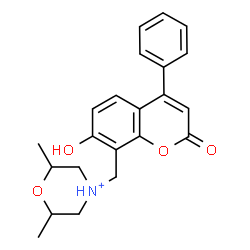ChemSpider 2D Image | 4-[(7-Hydroxy-2-oxo-4-phenyl-2H-chromen-8-yl)methyl]-2,6-dimethylmorpholin-4-ium | C22H24NO4
