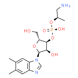 ChemSpider 2D Image | 1-{3-O-[(S)-{[(2R)-1-Amino-2-propanyl]oxy}(hydroxy)phosphoryl]-alpha-D-ribofuranosyl}-5,6-dimethyl-1H-benzimidazole | C17H26N3O7P