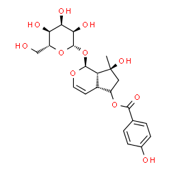 ChemSpider 2D Image | (1S,4aR,7S,7aS)-1-(beta-D-Allopyranosyloxy)-7-hydroxy-7-methyl-1,4a,5,6,7,7a-hexahydrocyclopenta[c]pyran-5-yl 4-hydroxybenzoate | C22H28O11