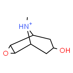 ChemSpider 2D Image | 7-Hydroxy-9-methyl-3-oxa-9-azoniatricyclo[3.3.1.0~2,4~]nonane | C8H14NO2