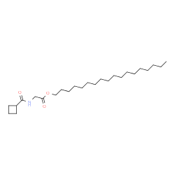 ChemSpider 2D Image | Octadecyl N-(cyclobutylcarbonyl)glycinate | C25H47NO3