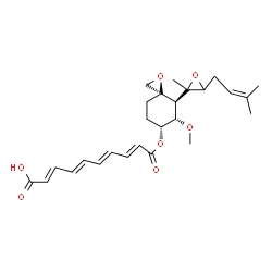 ChemSpider 2D Image | (2E,4E,6E,8E)-10-({(4S,5S,6R)-5-Methoxy-4-[(2S)-2-methyl-3-(3-methyl-2-buten-1-yl)-2-oxiranyl]-1-oxaspiro[2.5]oct-6-yl}oxy)-10-oxo-2,4,6,8-decatetraenoic acid | C26H34O7