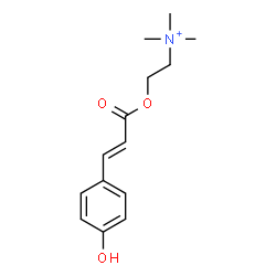 ChemSpider 2D Image | 4-Coumaroylcholine | C14H20NO3