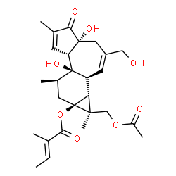 ChemSpider 2D Image | (1S,1aR,1bS,4aR,7aS,7bR,8R,9aS)-1-(Acetoxymethyl)-4a,7b-dihydroxy-3-(hydroxymethyl)-1,6,8-trimethyl-5-oxo-1,1a,1b,4,4a,5,7a,7b,8,9-decahydro-9aH-cyclopropa[3,4]benzo[1,2-e]azulen-9a-yl (2E)-2-methyl-2
-butenoate | C27H36O8
