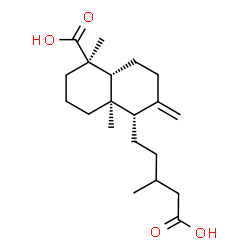 ChemSpider 2D Image | (1R,4aR,5S,8aR)-5-(4-Carboxy-3-methylbutyl)-1,4a-dimethyl-6-methylenedecahydro-1-naphthalenecarboxylic acid | C20H32O4