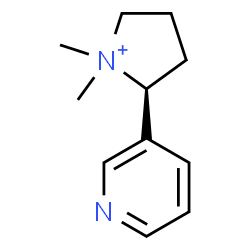 ChemSpider 2D Image | (2S)-1,1-Dimethyl-2-(3-pyridinyl)pyrrolidinium | C11H17N2