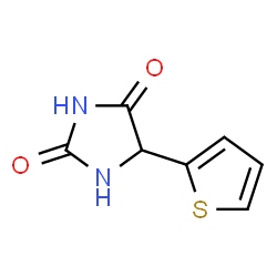 ChemSpider 2D Image | 5-(2-THIENYL)HYDANTOIN | C7H6N2O2S