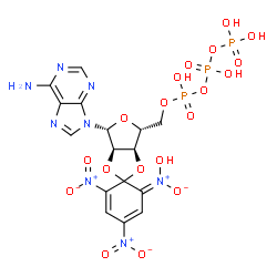 ChemSpider 2D Image | 2',3'-O-{(6Z)-6-[Hydroxy(oxido)-lambda~5~-azanylidene]-2,4-dinitro-2,4-cyclohexadiene-1,1-diyl}adenosine 5'-(tetrahydrogen triphosphate) | C16H17N8O19P3