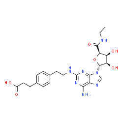 ChemSpider 2D Image | 3-{4-[2-({6-Amino-9-[(2R,3R,4S,5R)-5-(ethylcarbamoyl)-3,4-dihydroxytetrahydro-2-furanyl]-9H-purin-2-yl}amino)ethyl]phenyl}propanoic acid | C23H29N7O6