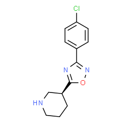 ChemSpider 2D Image | (3S)-3-[3-(4-Chlorophenyl)-1,2,4-oxadiazol-5-yl]piperidine | C13H14ClN3O