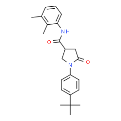 ChemSpider 2D Image | N-(2,3-Dimethylphenyl)-1-[4-(2-methyl-2-propanyl)phenyl]-5-oxo-3-pyrrolidinecarboxamide | C23H28N2O2