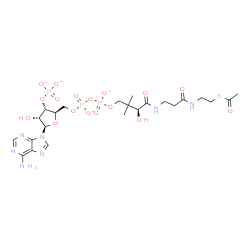 ChemSpider 2D Image | Adenosinato(4-), 5'-O-[[[[(3S)-4-[[3-[[2-(acetylthio)ethyl]amino]-3-oxopropyl]amino]-3-hydroxy-2,2-dimethyl-4-oxobutoxy]hydroxyphosphinyl]oxy]hydroxyphosphinyl]-, 3'-(dihydrogen phosphate), ion(4-) | C23H34N7O17P3S