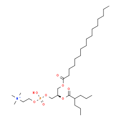 ChemSpider 2D Image | (7R)-4-Hydroxy-N,N,N-trimethyl-10-oxo-7-[(2-propylpentanoyl)oxy]-3,5,9-trioxa-4-phosphapentacosan-1-aminium 4-oxide | C32H65NO8P