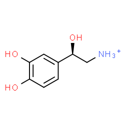ChemSpider 2D Image | (2R)-2-(3,4-Dihydroxyphenyl)-2-hydroxyethanaminium | C8H12NO3