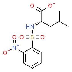 ChemSpider 2D Image | (2S)-4-Methyl-2-{[(2-nitrophenyl)sulfonyl]amino}pentanoate | C12H15N2O6S