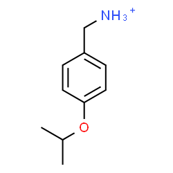 ChemSpider 2D Image | (4-Isopropoxyphenyl)methanaminium | C10H16NO