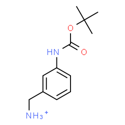 ChemSpider 2D Image | [3-({[(2-Methyl-2-propanyl)oxy]carbonyl}amino)phenyl]methanaminium | C12H19N2O2