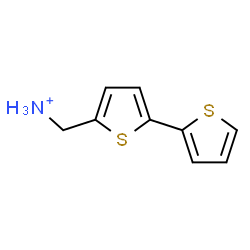 ChemSpider 2D Image | 2,2'-Bithiophen-5-ylmethanaminium | C9H10NS2
