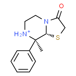 ChemSpider 2D Image | (8R,8aR)-8-Methyl-3-oxo-8-phenylhexahydro-5H-[1,3]thiazolo[3,2-a]pyrazin-7-ium | C13H17N2OS