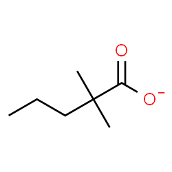 ChemSpider 2D Image | 2,2-Dimethylpentanoate | C7H13O2