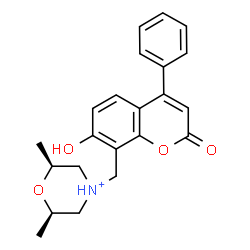 ChemSpider 2D Image | (2R,6S)-4-[(7-Hydroxy-2-oxo-4-phenyl-2H-chromen-8-yl)methyl]-2,6-dimethylmorpholin-4-ium | C22H24NO4