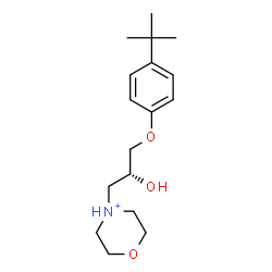 ChemSpider 2D Image | 4-{(2R)-2-Hydroxy-3-[4-(2-methyl-2-propanyl)phenoxy]propyl}morpholin-4-ium | C17H28NO3
