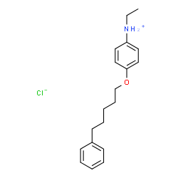 ChemSpider 2D Image | N-Ethyl-4-[(5-phenylpentyl)oxy]anilinium chloride | C19H26ClNO
