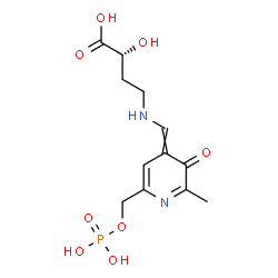 ChemSpider 2D Image | (2R)-2-Hydroxy-4-[({2-methyl-3-oxo-6-[(phosphonooxy)methyl]-4(3H)-pyridinylidene}methyl)amino]butanoic acid | C12H17N2O8P