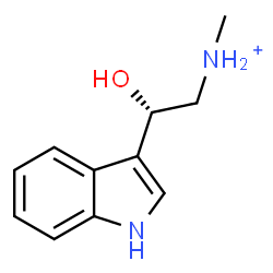 ChemSpider 2D Image | (2S)-2-Hydroxy-2-(1H-indol-3-yl)-N-methylethanaminium | C11H15N2O