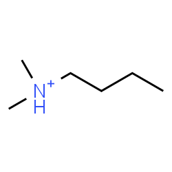 ChemSpider 2D Image | dimethylbutylammonium | C6H16N